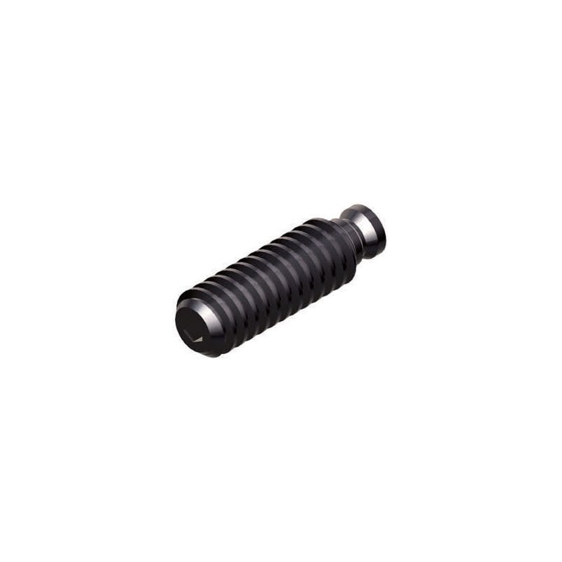 150mm GERARDI MENGENE KİLİTLEME VİDASI ART.356 T.3