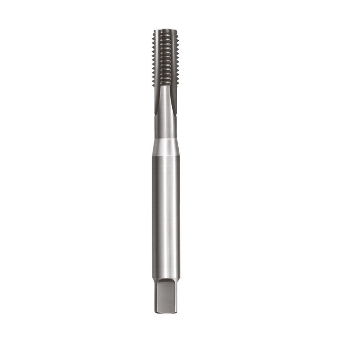 M5 MAKİNE KILAVUZU DÜZ KANAL DIN371/C HSS