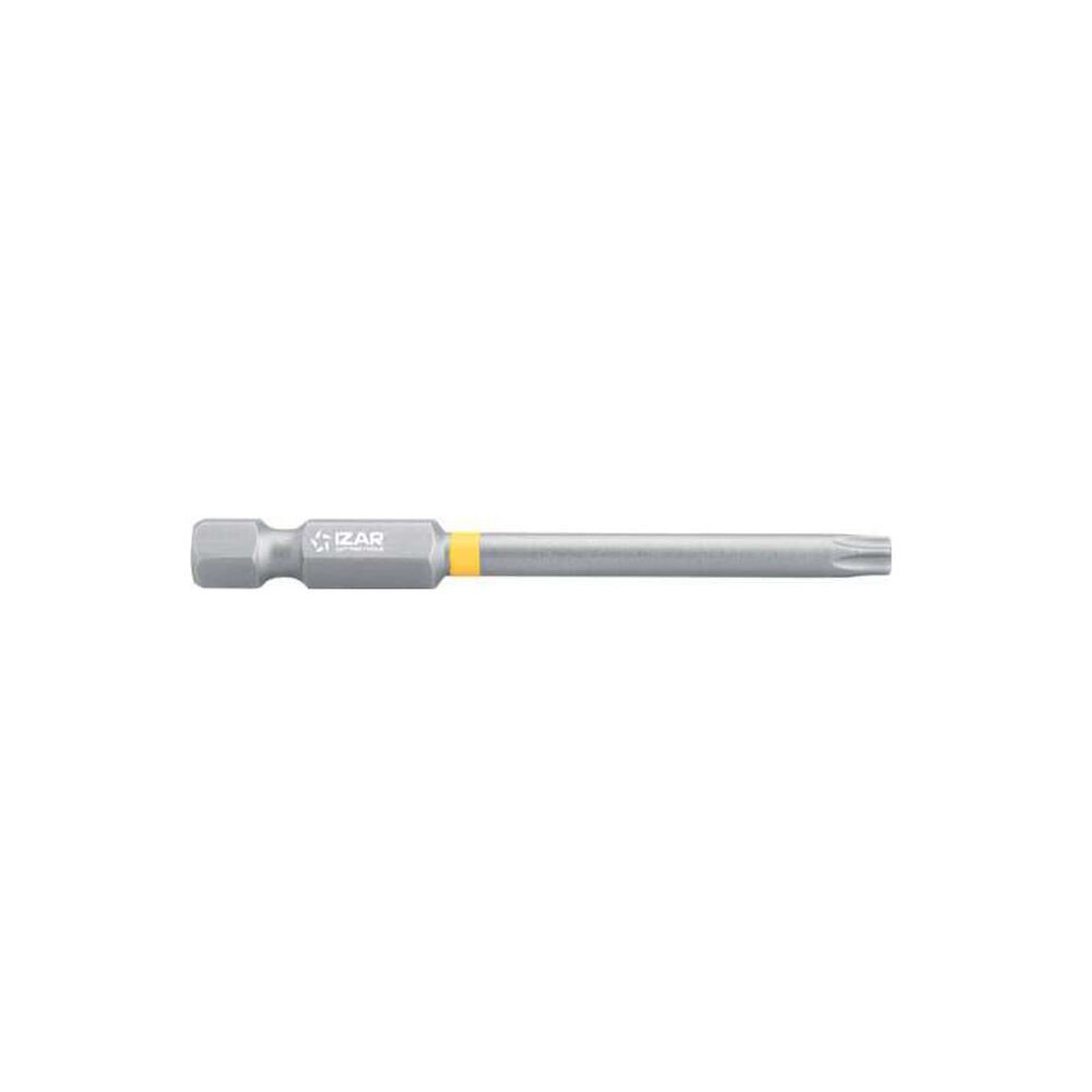 TORX30 L:100 IZAR STANDART BITS UÇ (5 ADET)