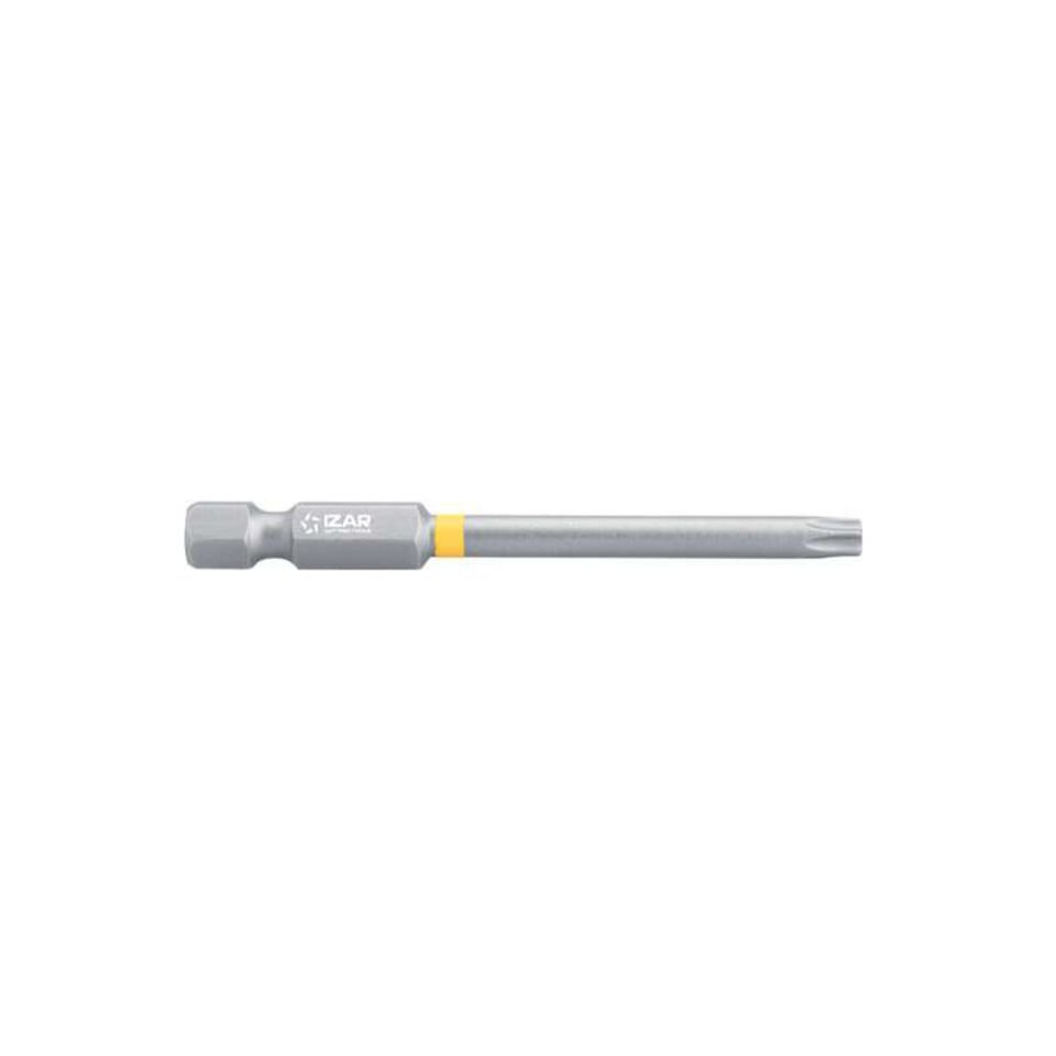 TORX30 L:100 IZAR STANDART BITS UÇ (5 ADET)
