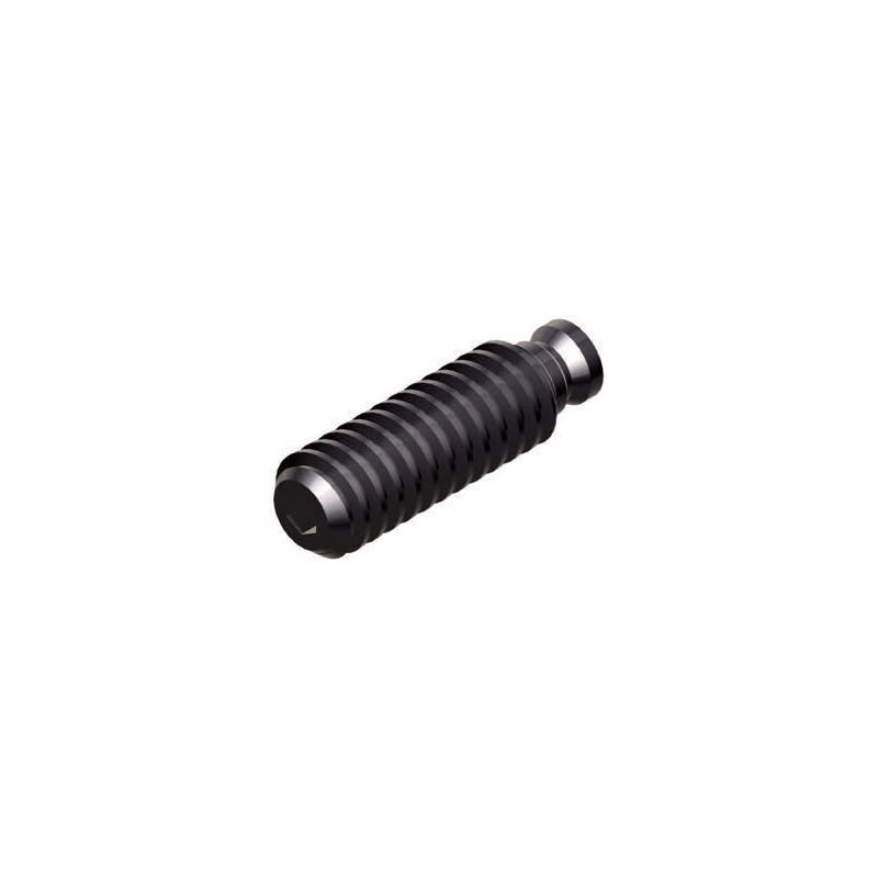 175mm GERARDI MENGENE KİLİTLEME VİDASI ART.356 T.4