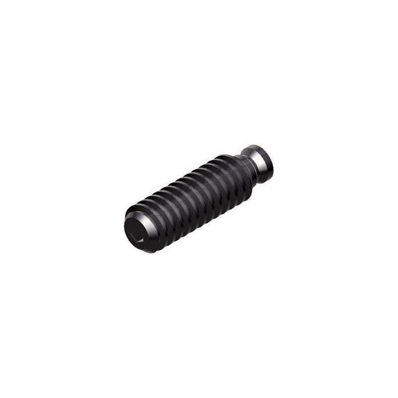 175mm GERARDI MENGENE KİLİTLEME VİDASI ART.356 T.4